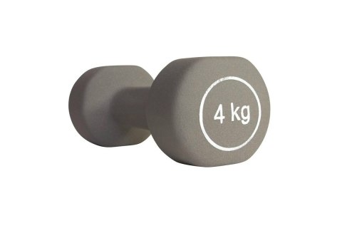 HANTLA NEOPRENOWA 11054DG 4KG /REEBOK