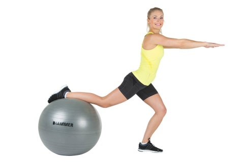 PIŁKA DO ĆWICZEŃ FITNESS HAB 65CM /HAMMER PIŁKA DO ĆWICZEŃ FITNESS HAB 65CM /HAMMER