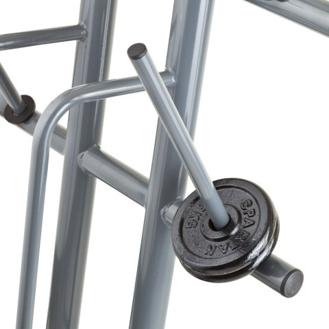 STOJAK NA OBCIĄŻENIA PR3002 30MM /INSPORTLINE