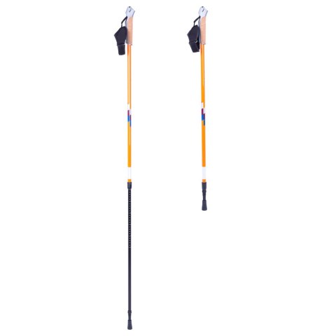 KIJE NORDIC WALKING POTOSI /INSPORTLINE KIJE NORDIC WALKING POTOSI /INSPORTLINE