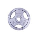 OBCIĄŻENIE STALOWE HANE 10KG 30MM /INSPORTLINE OBCIĄŻENIE STALOWE HANE 10KG 30MM /INSPORTLINE