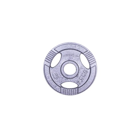 OBCIĄŻENIE STALOWE HANE 2,5KG 30MM /INSPORTLINE OBCIĄŻENIE STALOWE HANE 2,5KG 30MM /INSPORTLINE