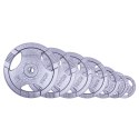 OBCIĄŻENIE STALOWE HANE 25KG 30MM /INSPORTLINE OBCIĄŻENIE STALOWE HANE 25KG 30MM /INSPORTLINE