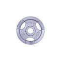 OBCIĄŻENIE STALOWE HANE 5KG 30MM /INSPORTLINE