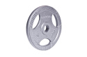 OBCIĄŻENIE STALOWE HANE 10KG 30MM /INSPORTLINE OBCIĄŻENIE STALOWE HANE 10KG 30MM /INSPORTLINE
