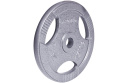 OBCIĄŻENIE STALOWE HANE 15KG 30MM /INSPORTLINE OBCIĄŻENIE STALOWE HANE 15KG 30MM /INSPORTLINE