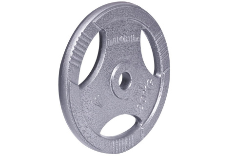 OBCIĄŻENIE STALOWE HANE 20KG 30MM /INSPORTLINE OBCIĄŻENIE STALOWE HANE 20KG 30MM /INSPORTLINE