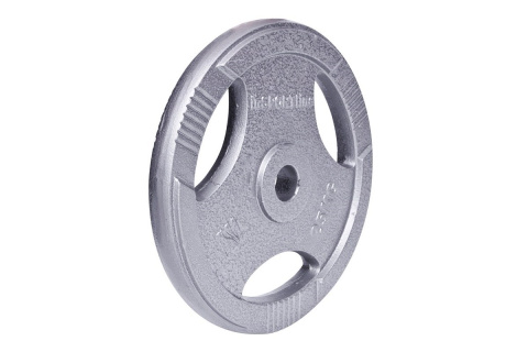 OBCIĄŻENIE STALOWE HANE 25KG 30MM /INSPORTLINE OBCIĄŻENIE STALOWE HANE 25KG 30MM /INSPORTLINE