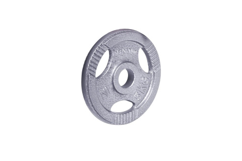 OBCIĄŻENIE STALOWE HANE 5KG 30MM /INSPORTLINE