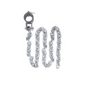 ŁAŃCUCH NA GRYF CHAINBOS 5KG /INSPORTLINE ŁAŃCUCH NA GRYF CHAINBOS 5KG /INSPORTLINE