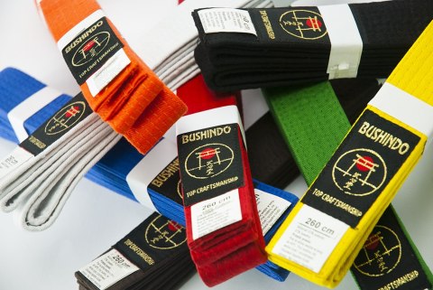 PAS DO KIMON 300CM POMARAŃCZ. /BUSHINDO PAS DO KIMON 300CM POMARAŃCZ. /BUSHINDO