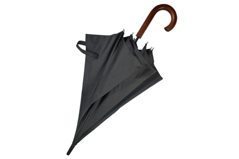 PARASOL STAR SKY Z10 /LEVENHUK