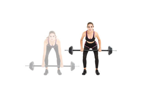 SZTANGA DO ĆWICZEŃ BODY PUMP STAR 20KG /INSPORTLINE SZTANGA DO ĆWICZEŃ BODY PUMP STAR 20KG /INSPORTLINE