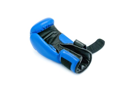 RĘKAWICE BOKSERSKIE PROFESSIONAL 8OZ BIAŁ-NIEB. /ALLRIGHT