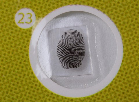 ZESTAW PREPARATÓW ROŚLINNYCH LABZZ P12 /LEVENHUK ZESTAW PREPARATÓW ROŚLINNYCH LABZZ P12 /LEVENHUK
