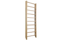 DRABINKA GIMNASTYCZNA BASICLINE 220X80CM /INSPORTLINE