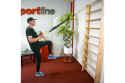 DRABINKA GIMNASTYCZNA BASICLINE 220X80CM /INSPORTLINE