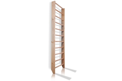 DRABINKA GIMNASTYCZNA BASICLINE 245X90CM /INSPORTLINE