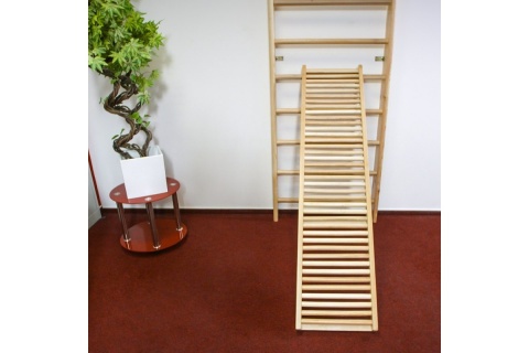 DRABINKA GIMNASTYCZNA BASICLINE 245X90CM /INSPORTLINE