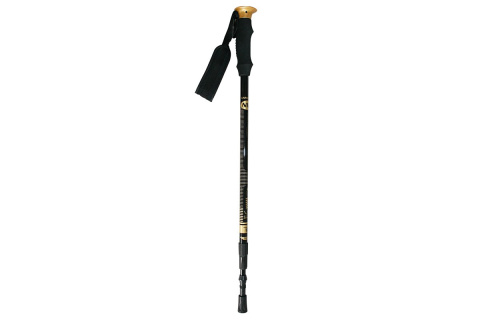 KIJE TREKKING-NORDIC WALKING NW-TK19 50% CARBON /NILS KIJE TREKKING-NORDIC WALKING NW-TK19 50% CARBON /NILS