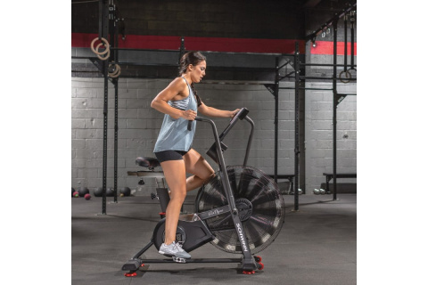 ROWER POWIETRZNY AIRDYNE AD8 /SCHWINN