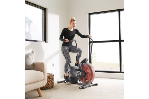 ROWER POWIETRZNY AIRDYNE AD2I /SCHWINN