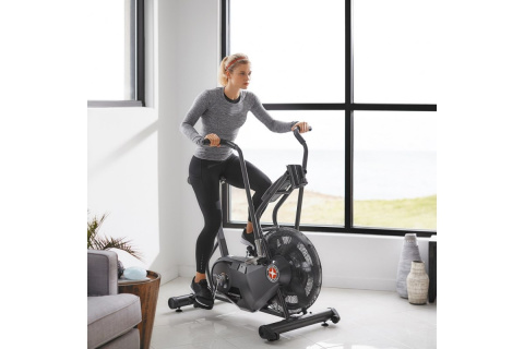 ROWER POWIETRZNY AIRDYNE AD6I /SCHWINN ROWER POWIETRZNY AIRDYNE AD6I /SCHWINN