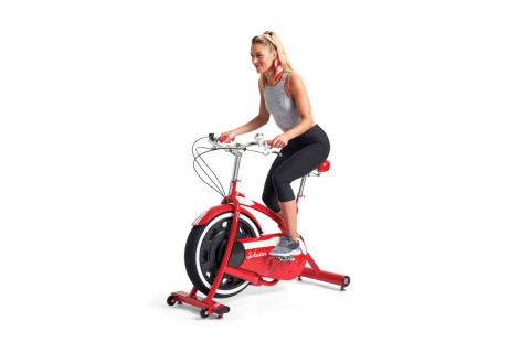 ROWER SPINNINGOWY CLASSIC CRUISER /SCHWINN ROWER SPINNINGOWY CLASSIC CRUISER /SCHWINN