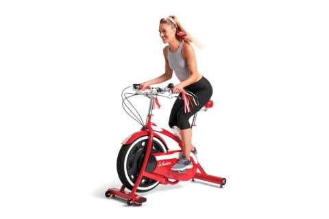 ROWER SPINNINGOWY CLASSIC CRUISER /SCHWINN ROWER SPINNINGOWY CLASSIC CRUISER /SCHWINN