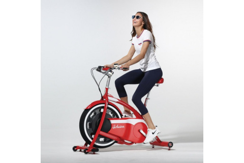 ROWER SPINNINGOWY CLASSIC CRUISER /SCHWINN ROWER SPINNINGOWY CLASSIC CRUISER /SCHWINN