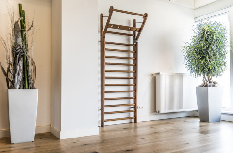 DRABINKA GIMNASTYCZNA WB14 SHADOW BUK 230X79CM /NOHRD DRABINKA GIMNASTYCZNA WB14 SHADOW BUK 230X79CM /NOHRD