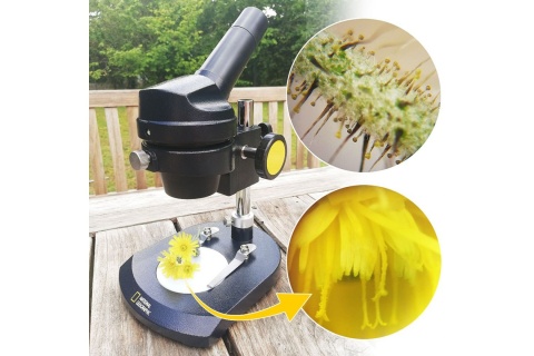 MIKROSKOP MONOKULAROWY NATIONAL GEOGRAPHIC 20X /BRESSER