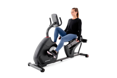 ROWER STACJONARNY POZIOMY 510R /SCHWINN