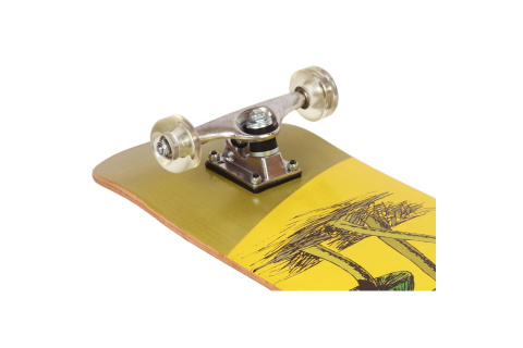 DESKOROLKA MUSHROOMS /BEST SPORTING DESKOROLKA MUSHROOMS /BEST SPORTING