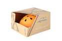 KASK SKATEBOARDOWY MTV12-O ROZM. S (53-55) /NILS KASK SKATEBOARDOWY MTV12-O ROZM. S (53-55) /NILS