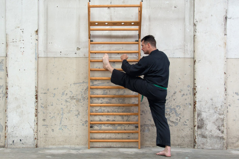 DRABINKA GIMNASTYCZNA WB14 SHADOW BUK 230X79CM /NOHRD DRABINKA GIMNASTYCZNA WB14 SHADOW BUK 230X79CM /NOHRD