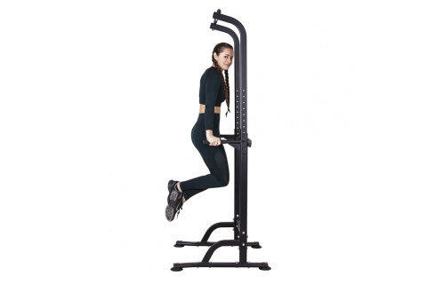 PORĘCZ DO ĆWICZEŃ POWER TOWER PT60 /IINSPORTLINE