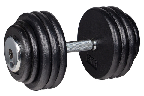 HANTLA ŻELIWNA PROFIST 47,5KG /INSPORTLINE