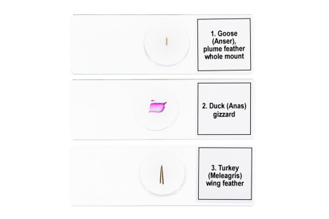 MIKROPREPARATY PROF DPS 5 PTAKI /DISCOVERY MIKROPREPARATY PROF DPS 5 PTAKI /DISCOVERY