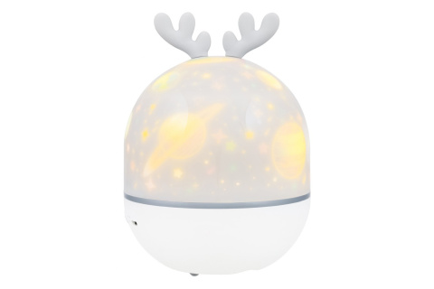 PLANETARIUM STAR SKY P2 /LEVENHUK