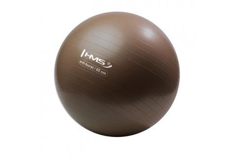 PIŁKA DO ĆWICZEŃ FITNESS YB02 65CM /HMS PIŁKA DO ĆWICZEŃ FITNESS YB02 65CM /HMS