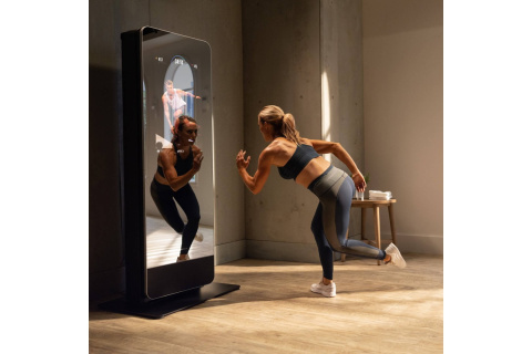 LUSTRO FITNESS VAULT Z AKCESORIAMI /NORDICTRACK LUSTRO FITNESS VAULT Z AKCESORIAMI /NORDICTRACK