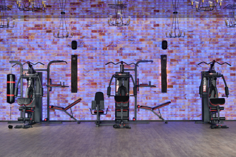 ATLAS DO ĆWICZEŃ NEW YORK PRO 100KG /SONIFIT ATLAS DO ĆWICZEŃ NEW YORK PRO 100KG /SONIFIT