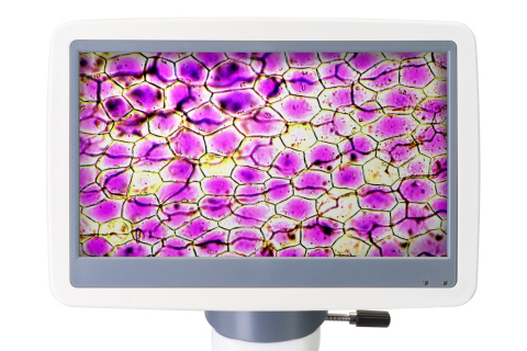MIKROSKOP CYFROWY D85L LCD /LEVENHUK MIKROSKOP CYFROWY D85L LCD /LEVENHUK