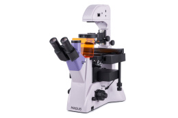 ODWRÓCONY MIKROSKOP FLUORESCENCYJNY LUM V500L /MAGUS