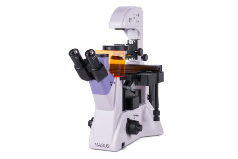 ODWRÓCONY MIKROSKOP FLUORESCENCYJNY LUM V500 /MAGUS ODWRÓCONY MIKROSKOP FLUORESCENCYJNY LUM V500 /MAGUS