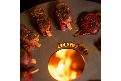 PLANCHA V45 DO BONVES 45 /BONFEU