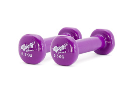 HANTLE WINYLOWE ALLZW 2X0,5KG /ALLRIGHT