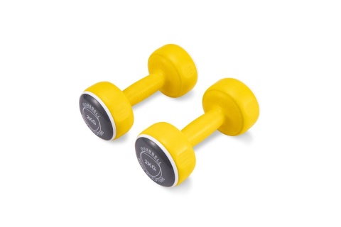 HANTLE SMART ZESTAW 24 KG BW 108DT /BODY SCULPTURE