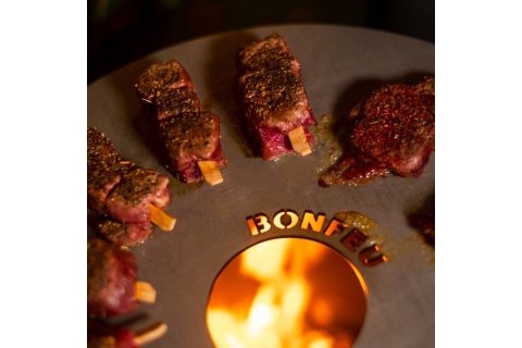 PLANCHA V34 DO BONVES 34 /BONFEU